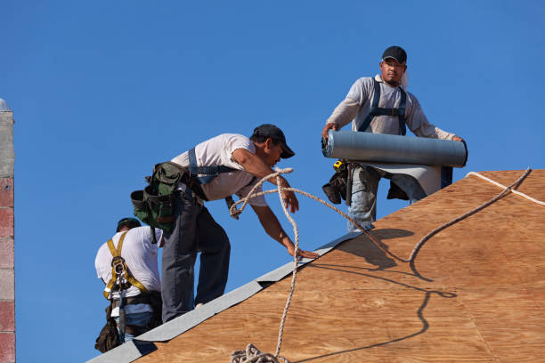 Best Gutter Installation and Roofing  in Dekal, IL